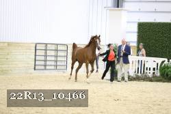 22R13_10466 proof