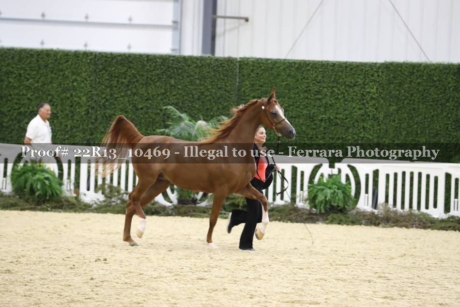 Proof 22R13_10469