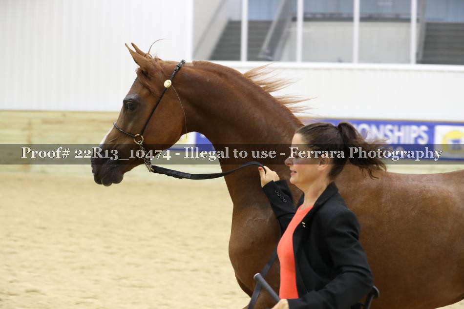 Proof 22R13_10474