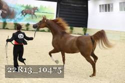 22R13_10475 proof