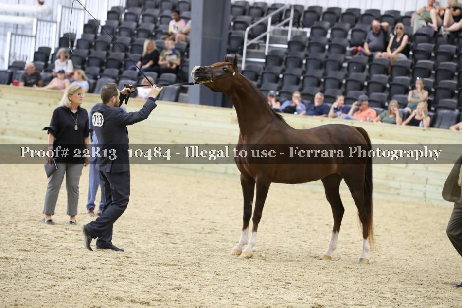 Proof 22R13_10484