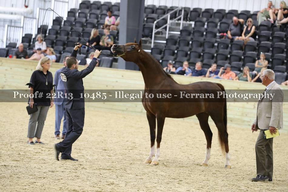 Proof 22R13_10485