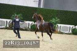22R13_10487 proof