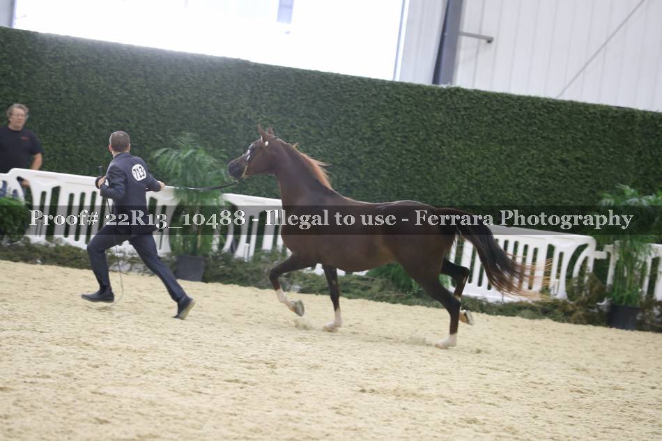 Proof 22R13_10488