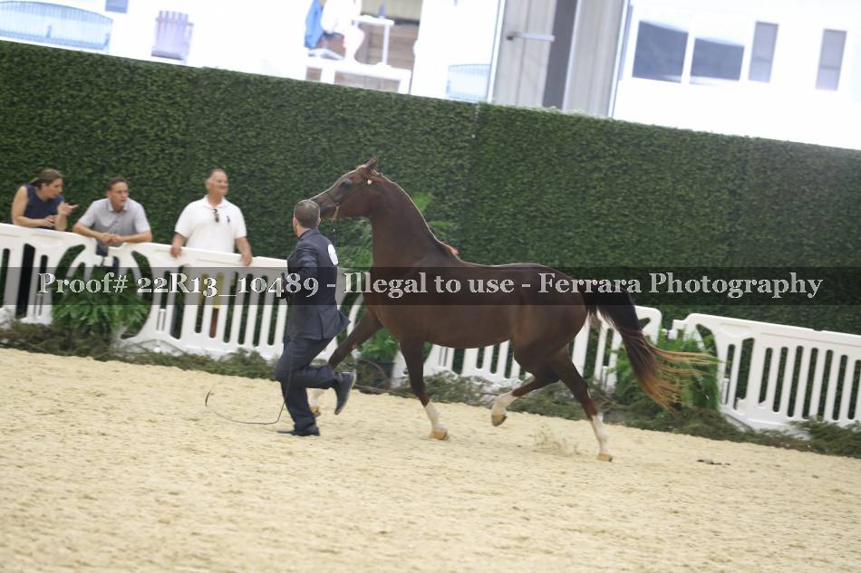 Proof 22R13_10489