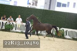 22R13_10489 proof