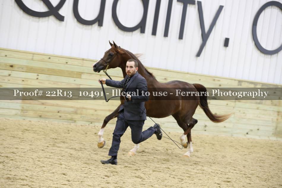 Proof 22R13_10491