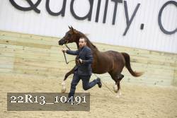 22R13_10491 proof