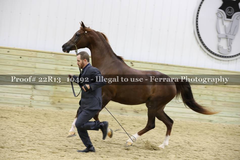 Proof 22R13_10492