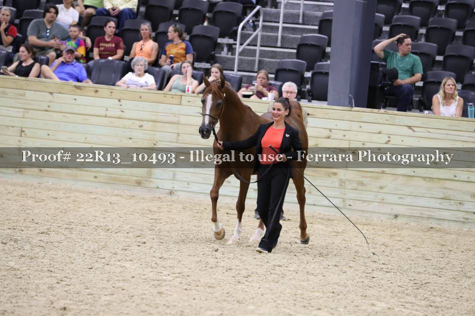 Proof 22R13_10493