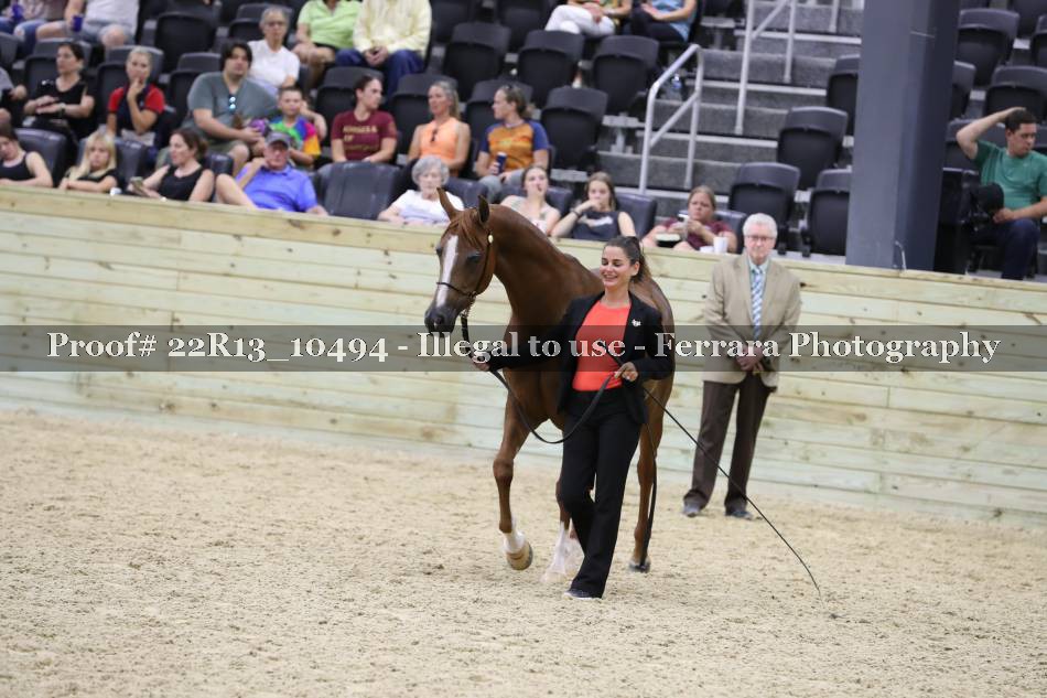 Proof 22R13_10494