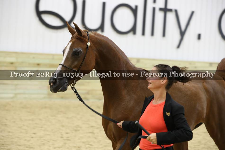 Proof 22R13_10503