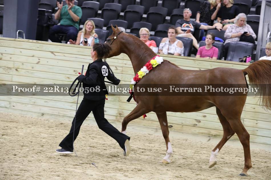 Proof 22R13_10508