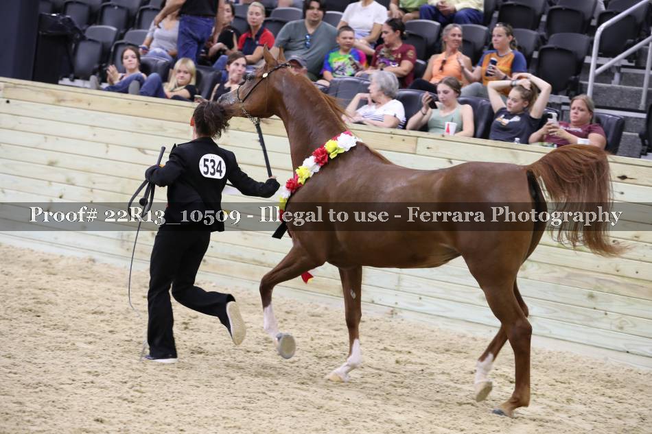 Proof 22R13_10509
