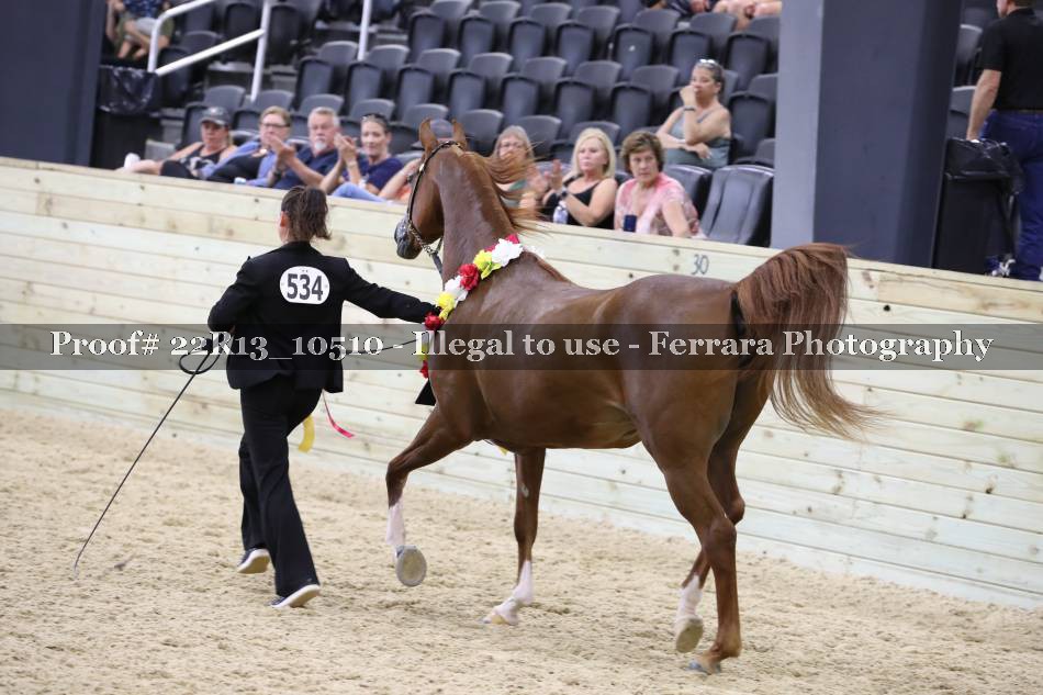 Proof 22R13_10510