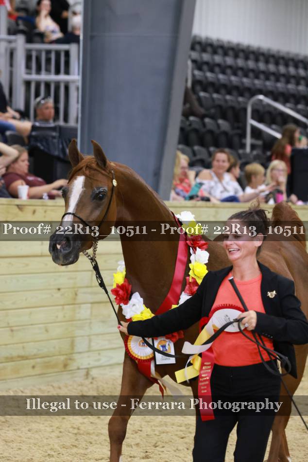 Proof 22R13_10511