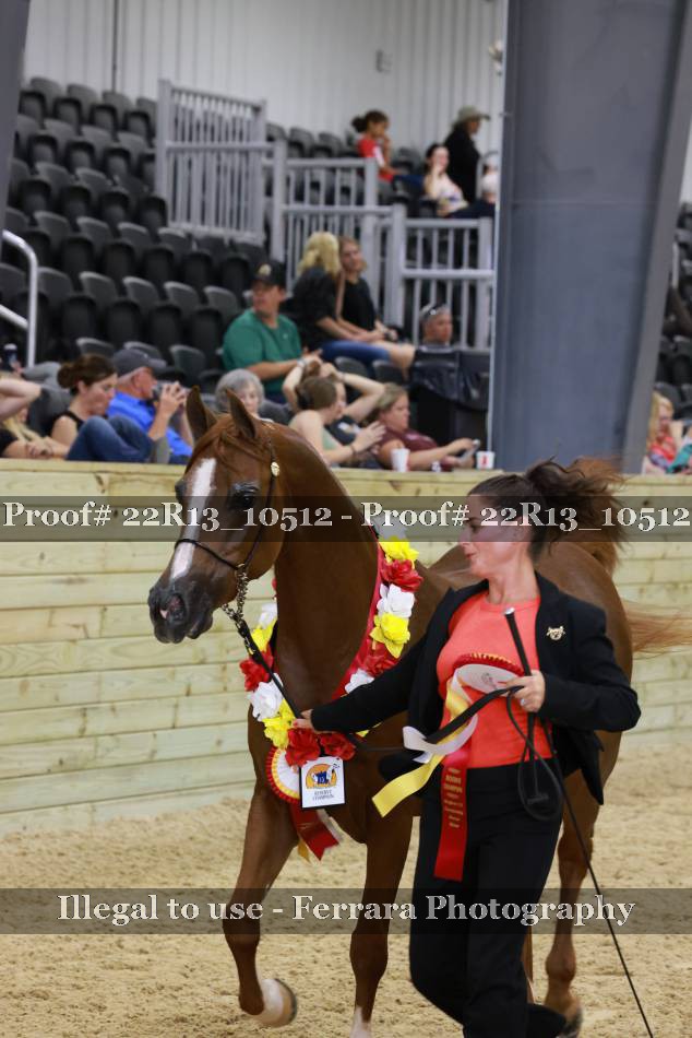 Proof 22R13_10512