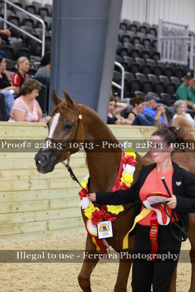Proof 22R13_10513