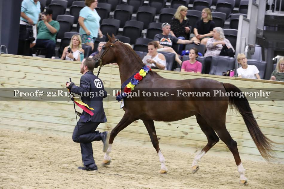 Proof 22R13_10518