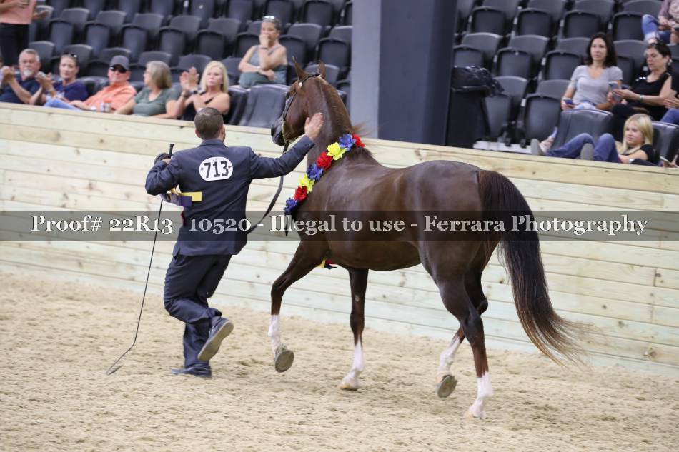 Proof 22R13_10520