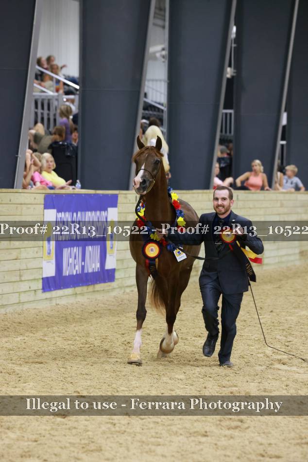 Proof 22R13_10522