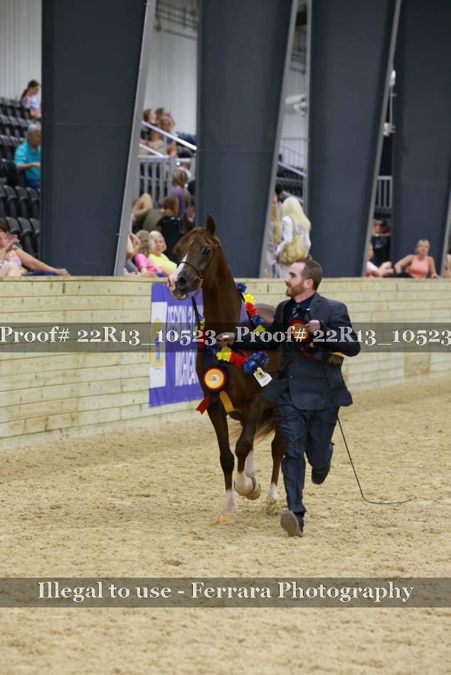 Proof 22R13_10523