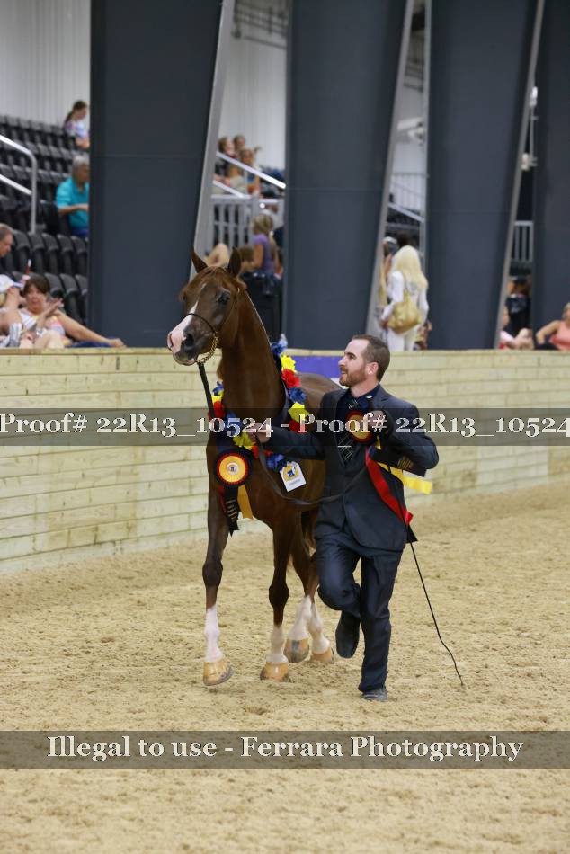 Proof 22R13_10524