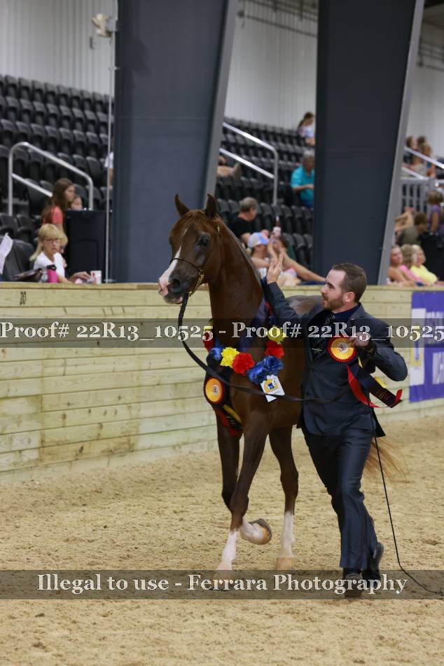 Proof 22R13_10525