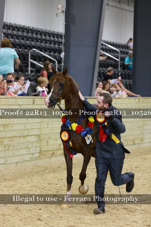 Proof 22R13_10526