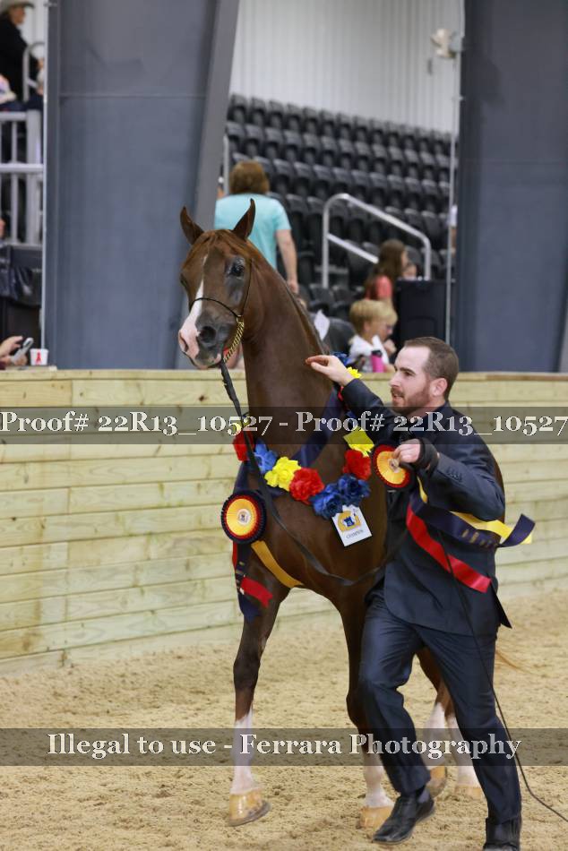 Proof 22R13_10527