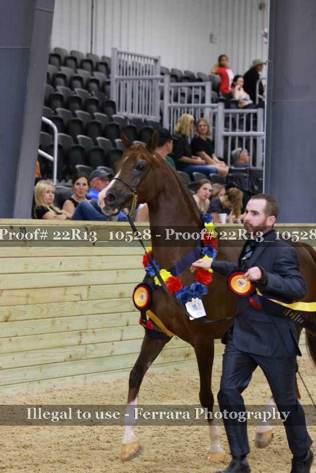 Proof 22R13_10528