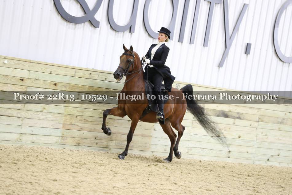 Proof 22R13_10529