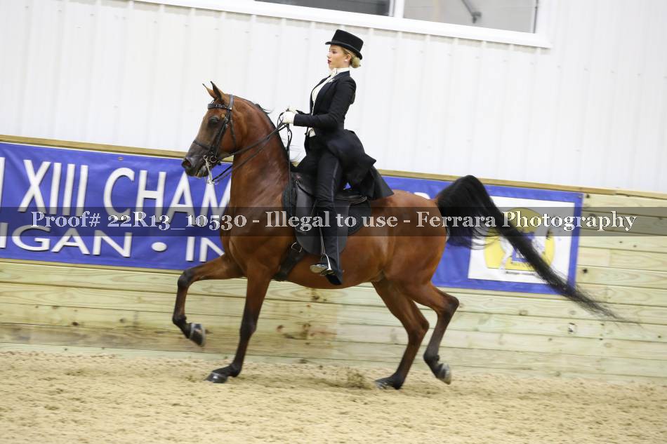 Proof 22R13_10530