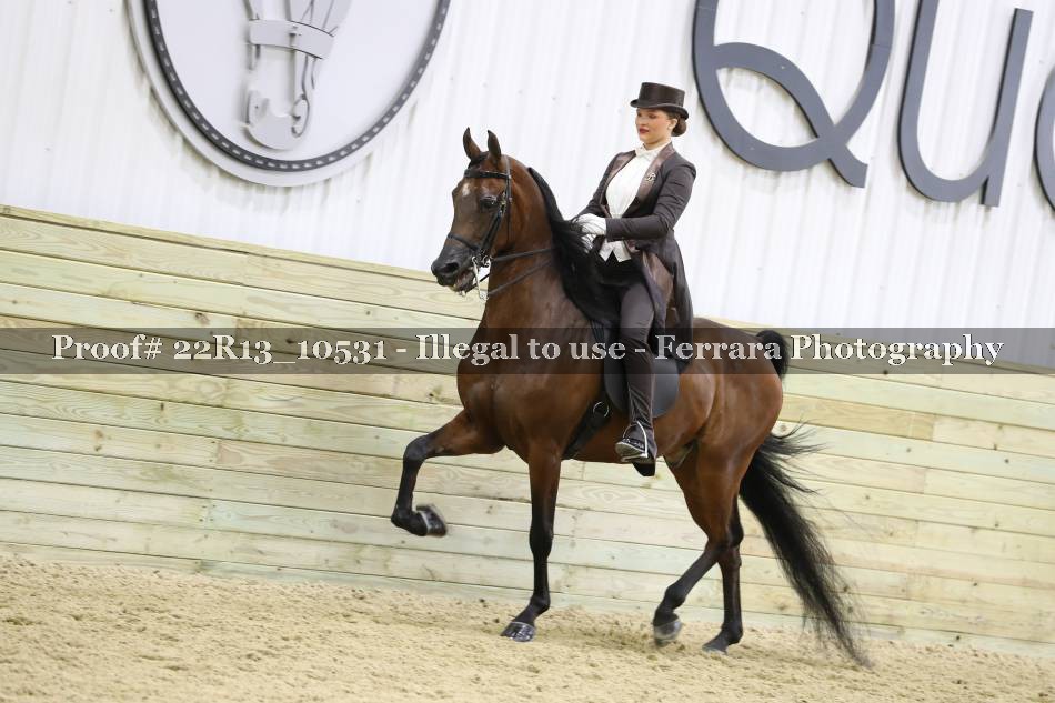 Proof 22R13_10531