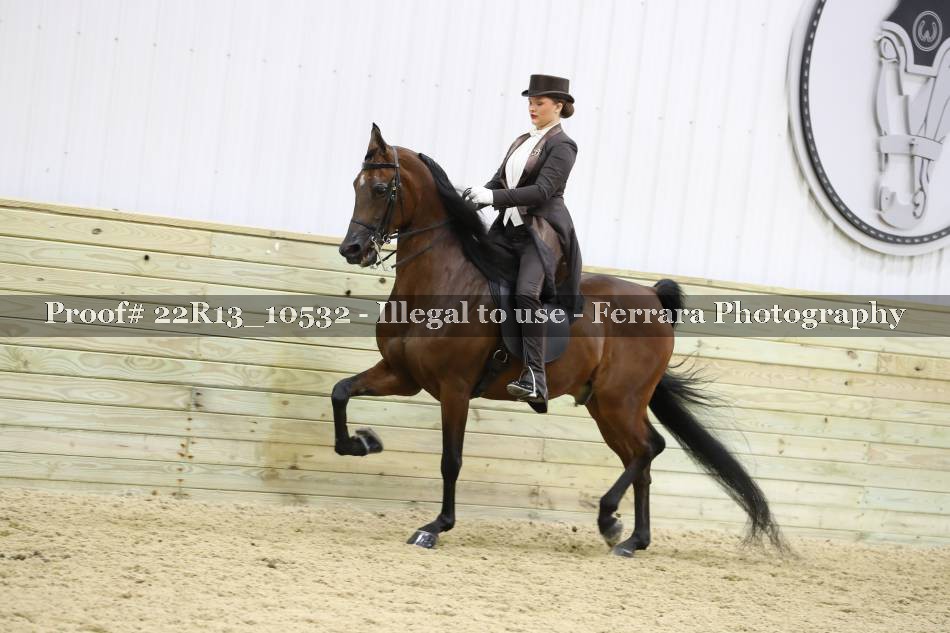 Proof 22R13_10532