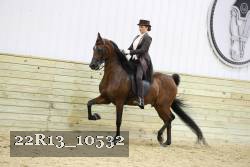 22R13_10532 proof