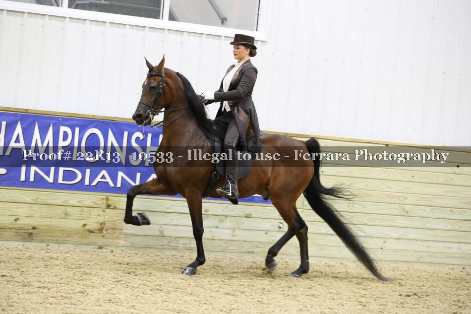 Proof 22R13_10533