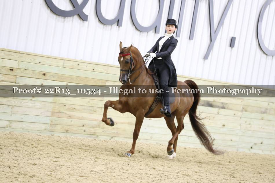 Proof 22R13_10534