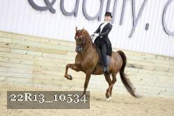 22R13_10534 proof