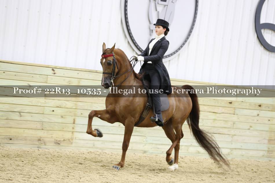 Proof 22R13_10535