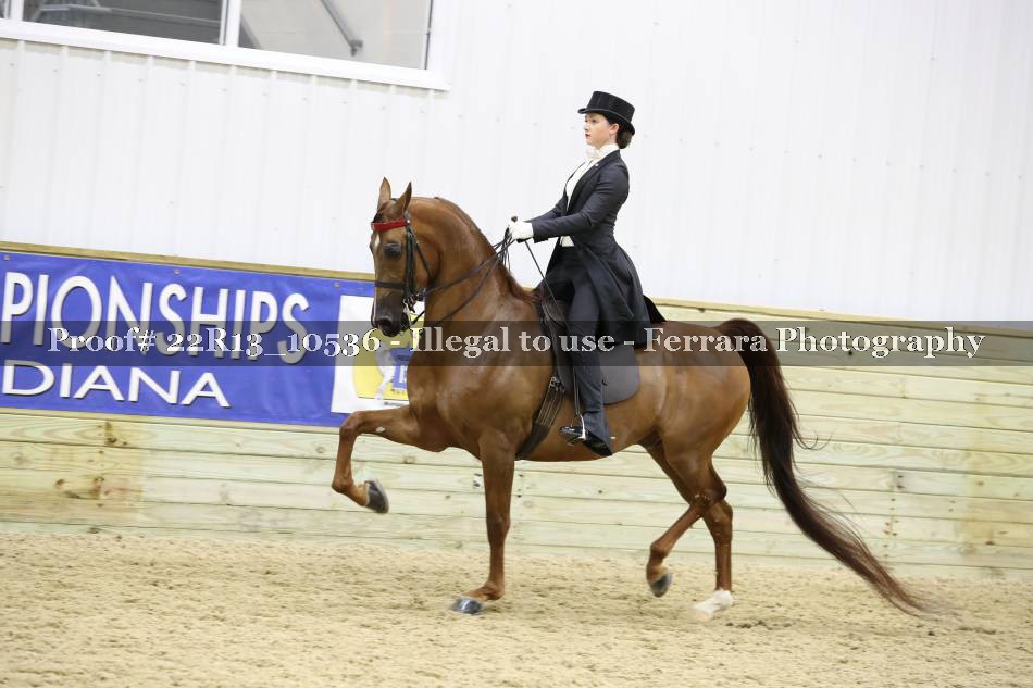 Proof 22R13_10536