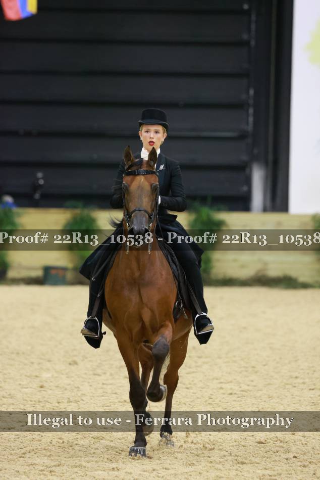 Proof 22R13_10538
