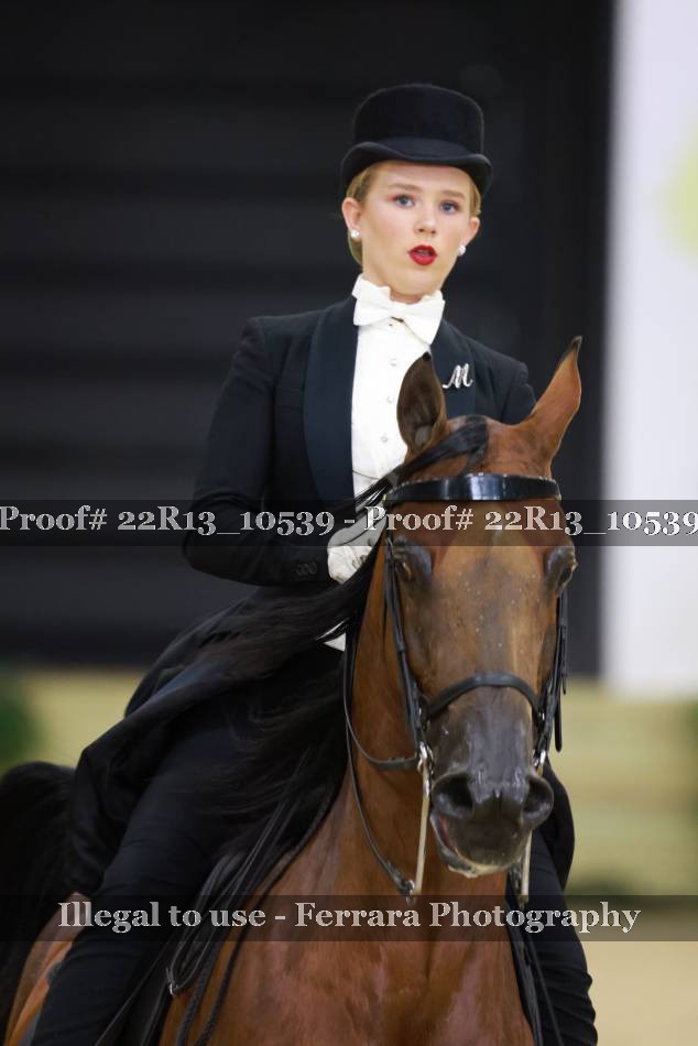Proof 22R13_10539