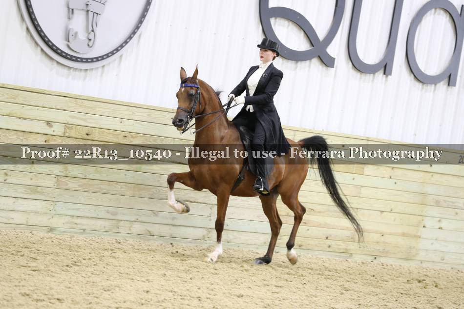 Proof 22R13_10540