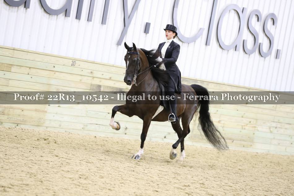 Proof 22R13_10542