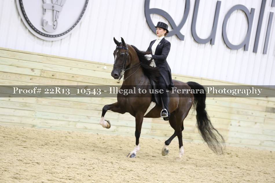Proof 22R13_10543