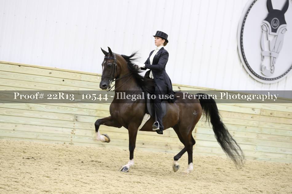 Proof 22R13_10544