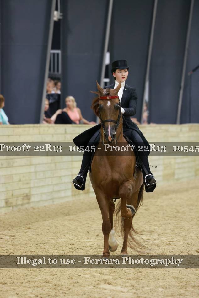 Proof 22R13_10545