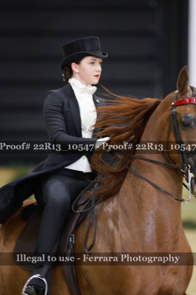 Proof 22R13_10547