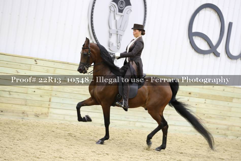 Proof 22R13_10548